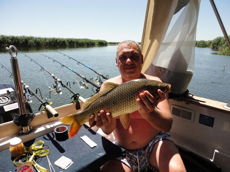 Delta iunie 2013 - dsc09885.JPG